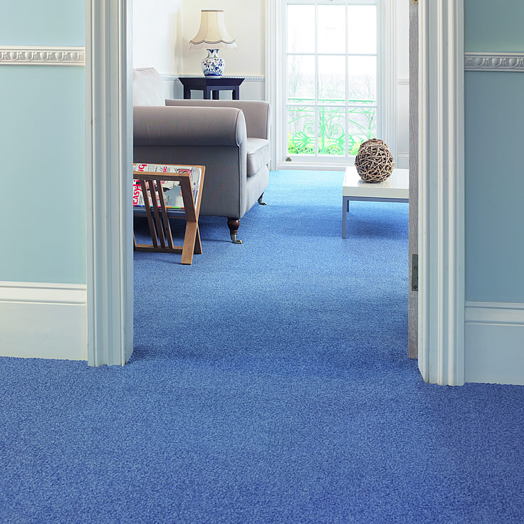 Budget stain free carpet